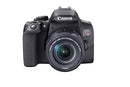 Canon EOS Rebel T8i DSLR Camera with 18-55mm Lens