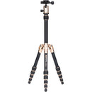 MeFOTO BackPacker Travel Tripod (Gold)