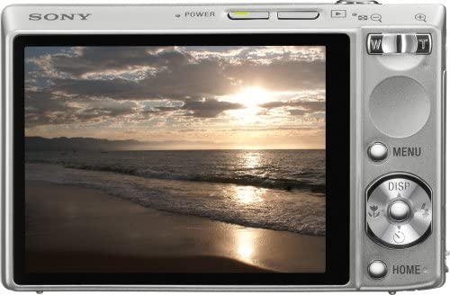 Sony Cyber-shot DSC-T100 Digital Camera (Silver)