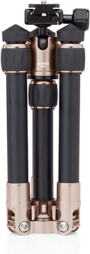 MeFOTO DayTrip Tripod Kit (Gold)