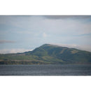 Sigma 28-105mm f/2.8 DG DN Art Lens - Sony E