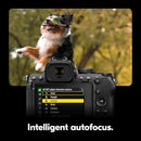 Nikon Z50 II Mirrorless Camera Body