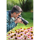 Tamron 90mm F/2.8 Di III VXD 1:1 Macro for Nikon Z Mount Mirrorless Cameras