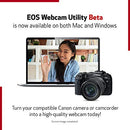 Canon 90D Digital SLR