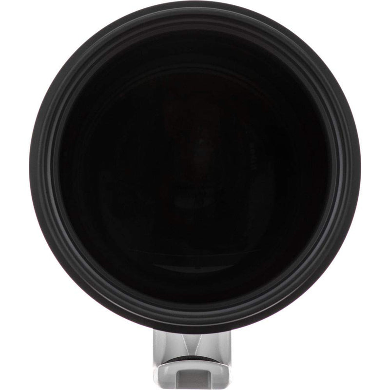 Canon EF 400mm f/2.8L is III USM Lens, Black (3045C002)