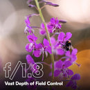 Nikon NIKKOR Z 135mm f/1.8 S Plena Lens | Telephoto for Z Series mirrorless Cameras | Nikon USA Model