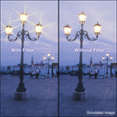 Heliopan 60mm Cross Screen 6x Filter