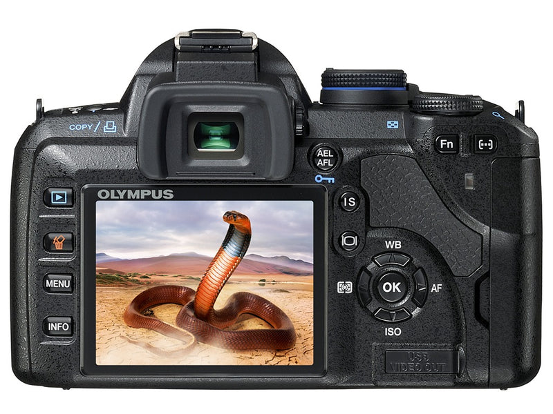 Olympus E-420 SLR Digital Camera with 14-42mm f/3.5-5.6 Zuiko Lens