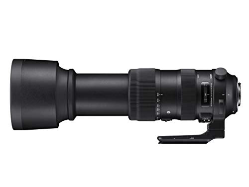 Sigma 60-600mm f/22-32 Fixed Zoom F4.5-6.3 DG OS HSM Camera Lenses, Black (730955), Nikon F