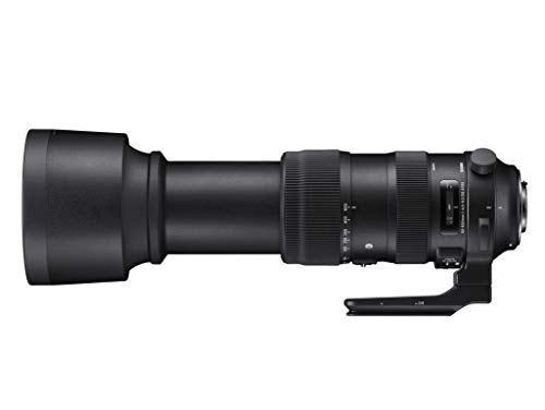 Sigma 60-600mm f/4.5-6.3 DG OS HSM Sports Lens - Nikon F