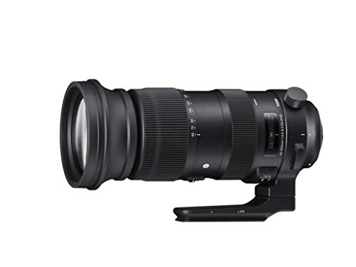 Sigma 60-600mm f/22-32 Fixed Zoom F4.5-6.3 DG OS HSM Camera Lenses, Black (730955), Nikon F