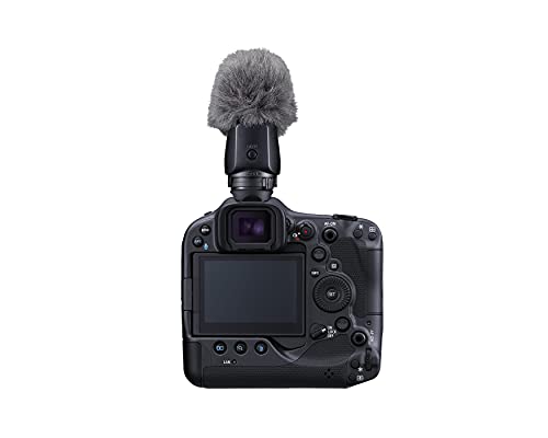 Canon Stereo Microphone DME1D