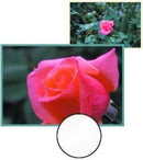 Sunpak 55mm Close-Up Set (+1 +2 +4 Diopters)