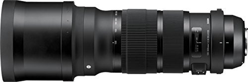 Sigma 120-300mm F2.8 DG OS HSM Lens (Black)