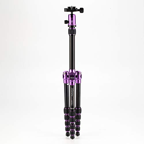 MeFOTO Backpacker Lightweight Aluminum Travel Tripod Kit w/Case, Twist Locks, Double Action Ballhead w/Arca Swiss Plate for Mirrorless/DSLR Sony Nikon Canon Fuji