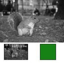 Hoya 77mm Yellow Green Glass Filter (X0)