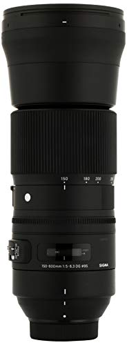 Sigma 150-600mm F5-6.3 DG OS HSM (C) Lens