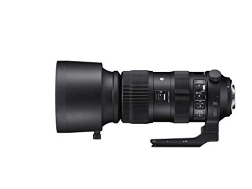 Sigma 60-600mm f/22-32 Fixed Zoom F4.5-6.3 DG OS HSM Camera Lenses, Black (730955), Nikon F
