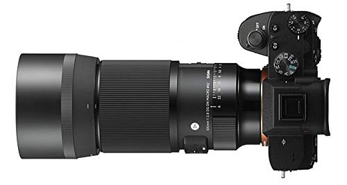 Sigma 105mm f/2.8 DG DN Macro Art Lens (Sony E)