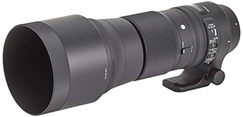 Sigma 150-600mm F5-6.3 DG OS HSM (C) Lens