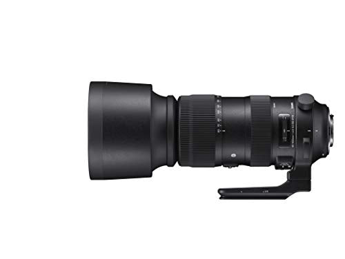 Sigma 60-600mm f/22-32 Fixed Zoom F4.5-6.3 DG OS HSM Camera Lenses, Black (730955), Nikon F