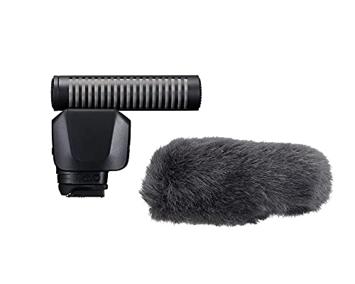 Canon Stereo Microphone DME1D