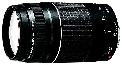 Canon EF 75-300mm f/4-5.6 III USM Telephoto Zoom Lens for Canon SLR Cameras