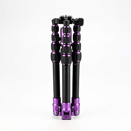 MeFOTO Backpacker Lightweight Aluminum Travel Tripod Kit w/Case, Twist Locks, Double Action Ballhead w/Arca Swiss Plate for Mirrorless/DSLR Sony Nikon Canon Fuji