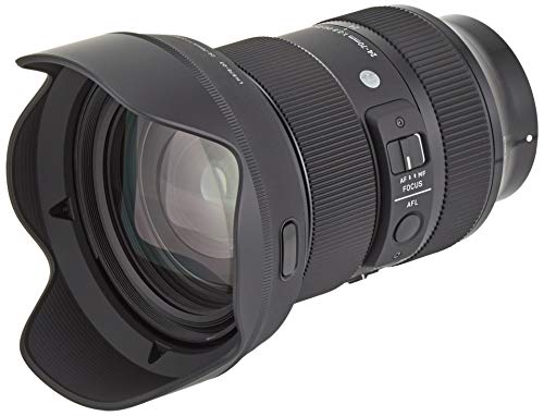 Sigma 24-70mm f/2.8 DG DN Art Lens for Sony E