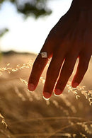 Nikon Z DX 24mm f/1.7 NIKKOR Lens (Nikon Z)