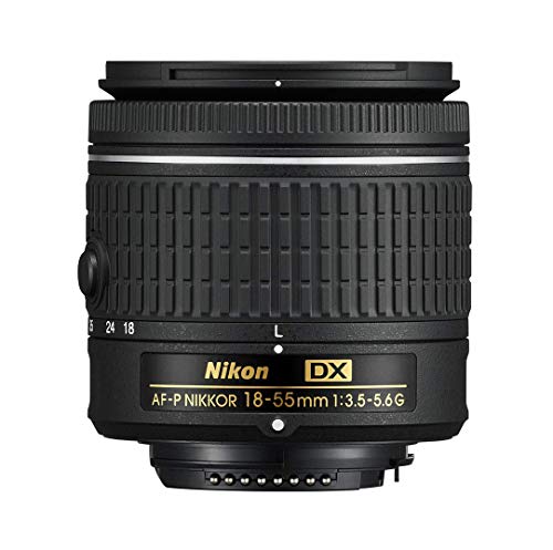 Nikon D3500 + AF-P DX 18–55 VR Kit | Camera Wholesalers