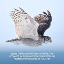 OM SYSTEM OM-1 Mirrorless Camera with 12-40mm PRO II Lens