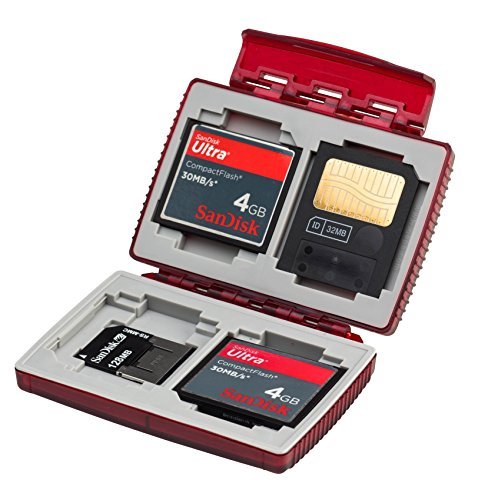 Gepe 3856E CardSafe Basic Duo for Compact Flash, SD, Smart Media, Multimedia Card, Memory Stick (Onyx)