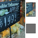 B+W 55mm (E) Top Linear Polarizer Coated Glass Filter