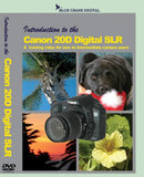 Introduction to Canon 20D Digital SLR