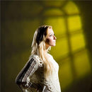 Lastolite LL LS2625 Strobo Gobo (Black)