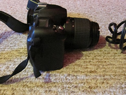 Nikon D50 6.1MP Digital SLR Camera-Camera Wholesalers