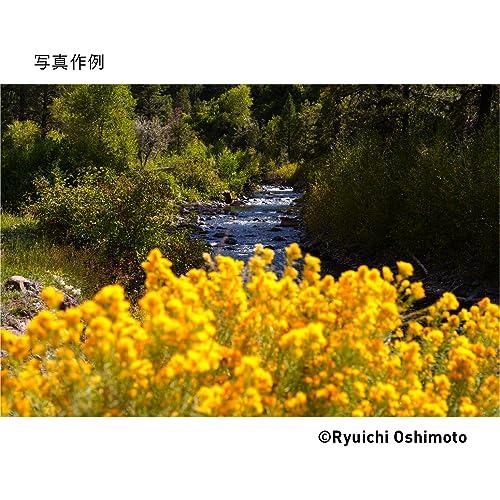 28-70mm F2.8 DG DN