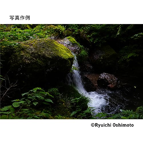 28-70mm F2.8 DG DN