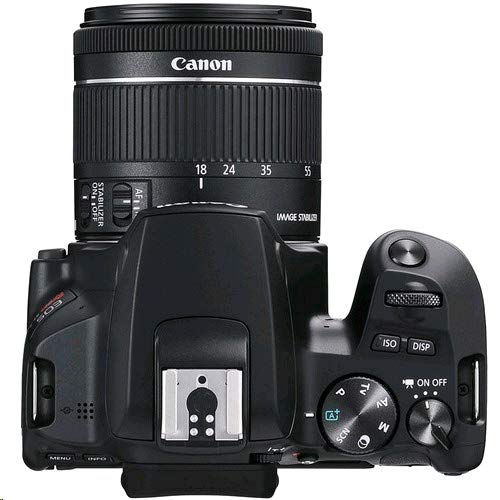 Canon EOS Rebel SL3 DSLR Camera - Body
