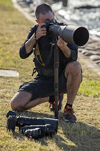 Nikon D6 DSLR Camera Body