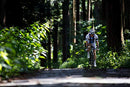 Sigma 60-600mm f/4.5-6.3 DG OS HSM Sports Lens - Canon EF -  Open box