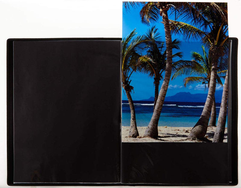 ProFolio by Itoya, Art ProFolio Evolution Presentation Display Book - Portrait, 11 x 17 Inches