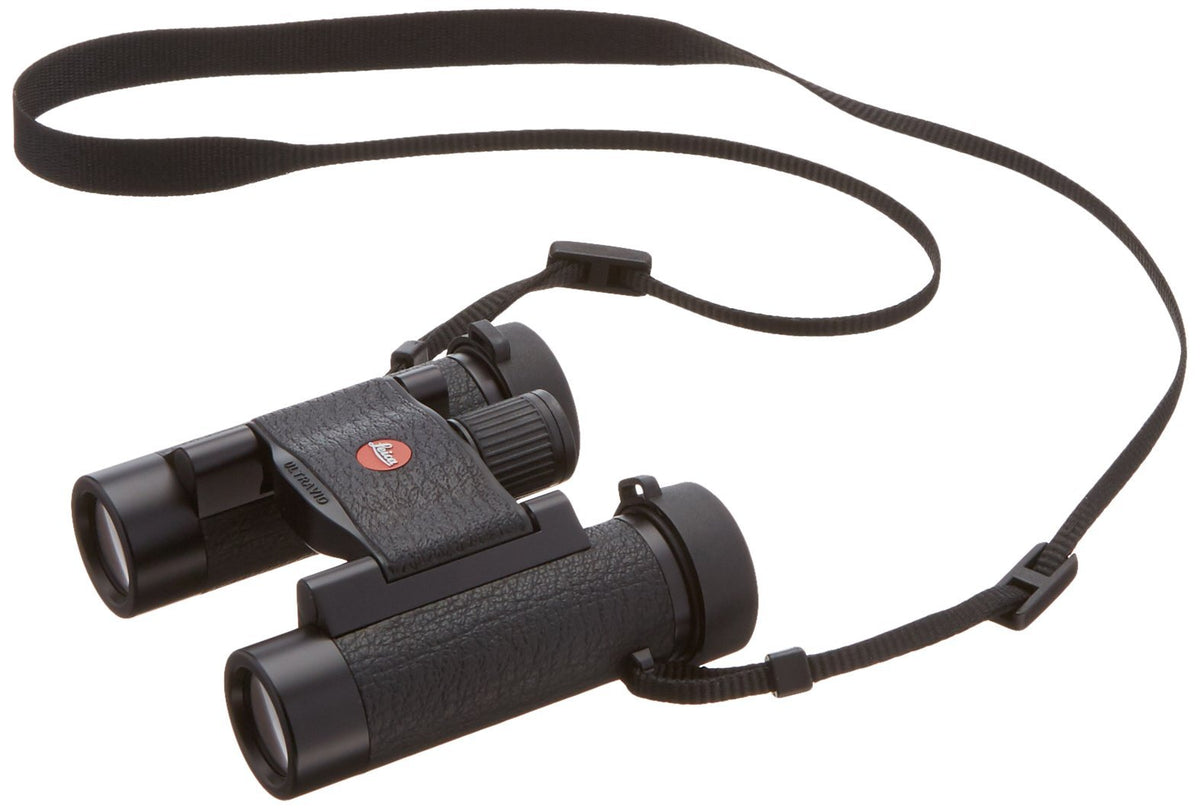 61hQhu1sdQL_1200x.jpg?v=1579896220