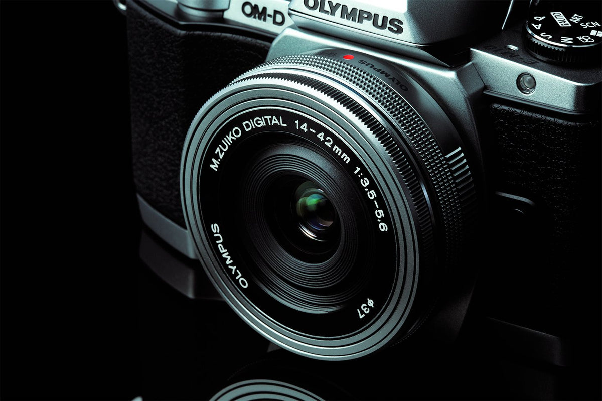 71qhL3W7xWL_1200x.jpg?v=1579897249