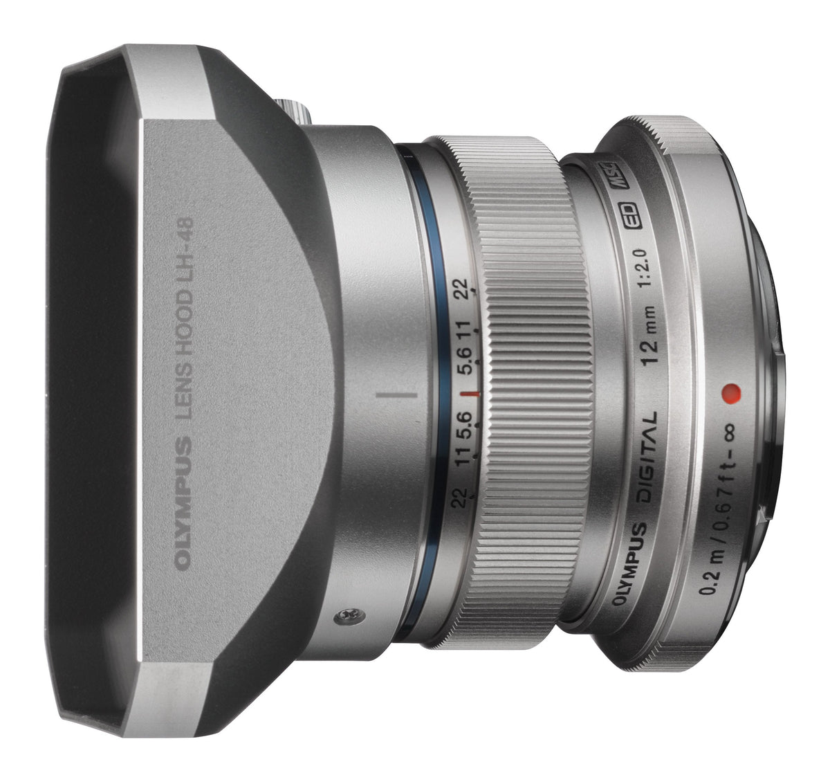 91L4jEER59L_1200x.jpg?v=1579897309