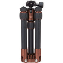 MeFOTO DayTrip Tripod Kit (Chocolate)