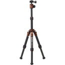 MeFOTO DayTrip Tripod Kit (Chocolate)