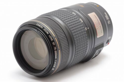 Canon EF 75-300mm f/4-5.6 IS USM Telephoto Zoom Lens for