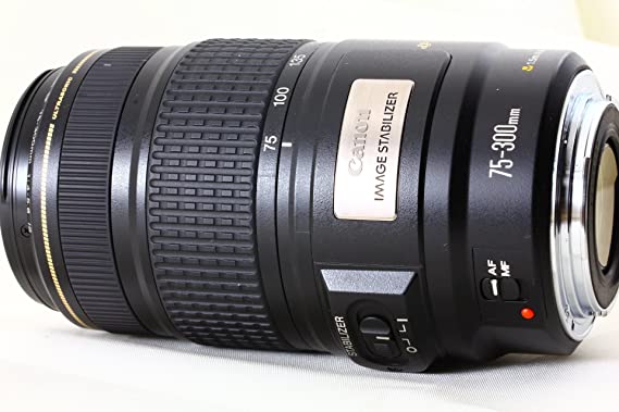 Canon EF 75-300mm IS USM Telephoto Zoom Lens for Canon SLR
